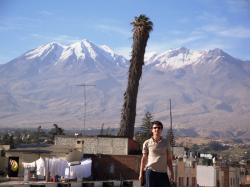 Un homme, un palmier, un volcan