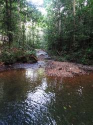 Witti creek
